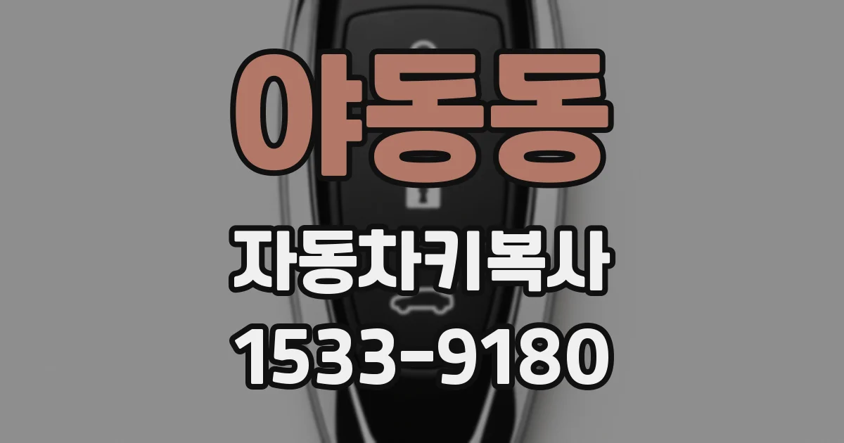 야동동 자동차키복사