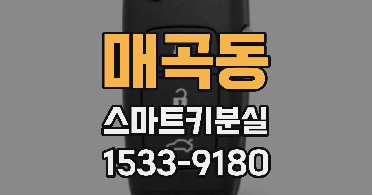매곡동 스마트키분실