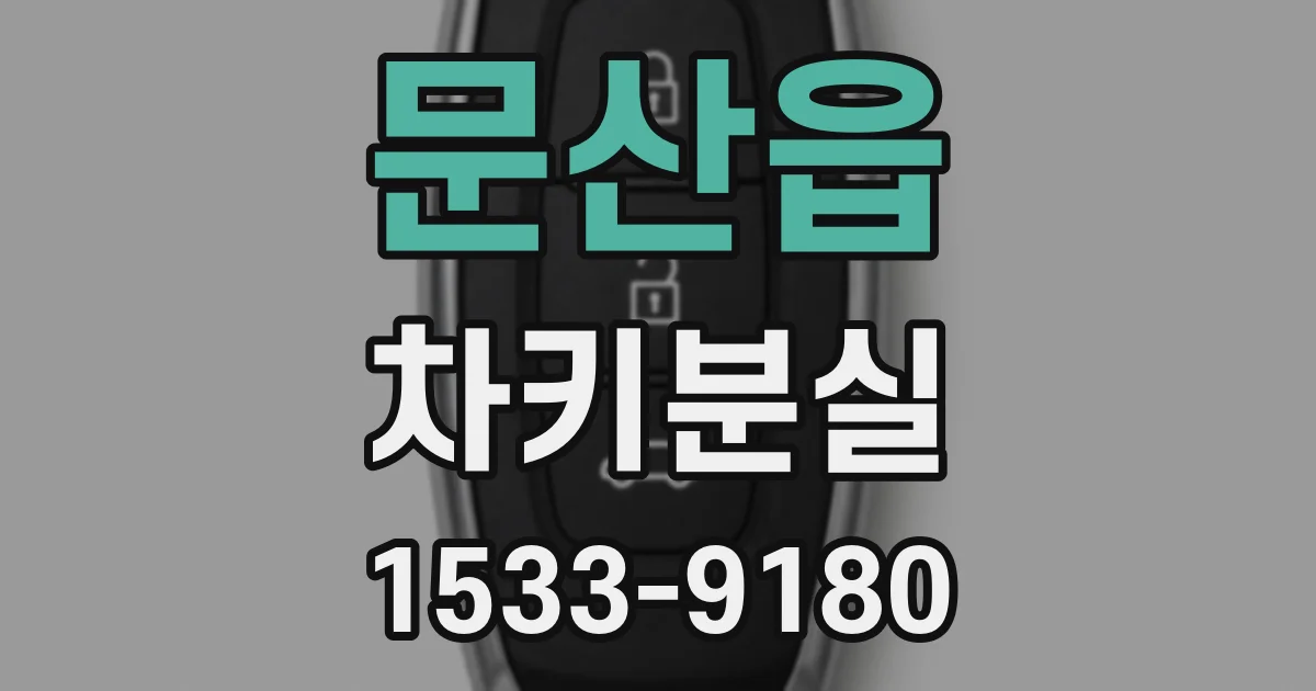 문산읍 차키분실