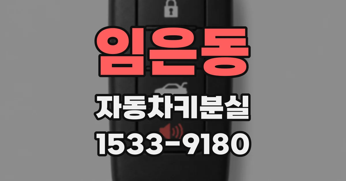 임은동 자동차키분실