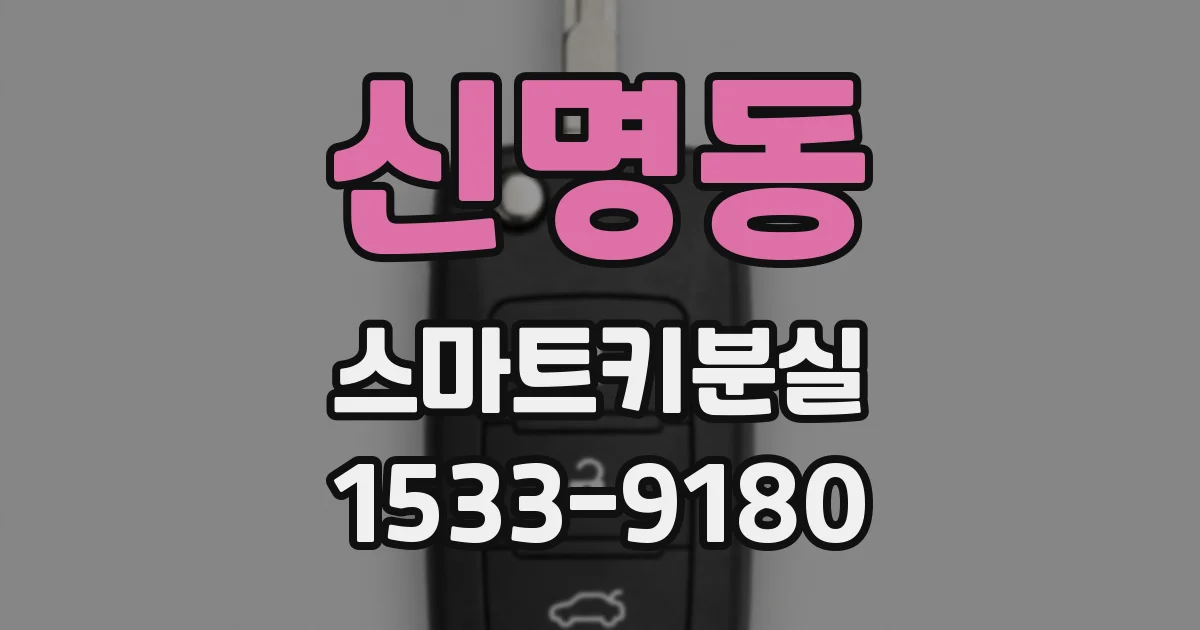 신명동 스마트키분실