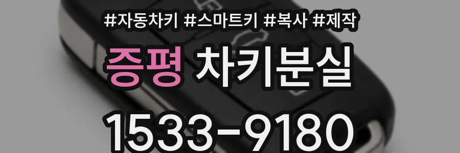 증평 차키분실