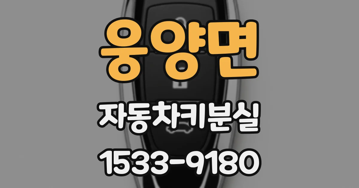 웅양면 자동차키분실