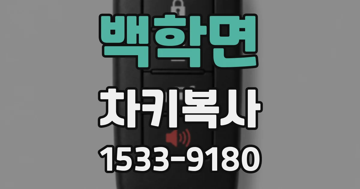백학면 차키복사