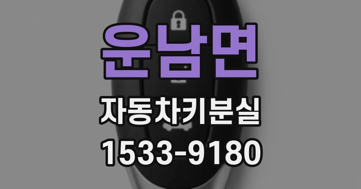 운남면 자동차키분실