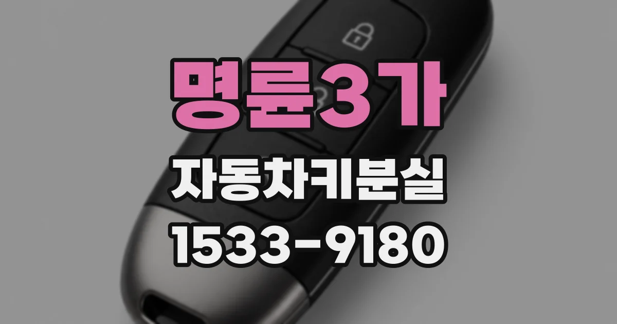명륜3가 자동차키분실