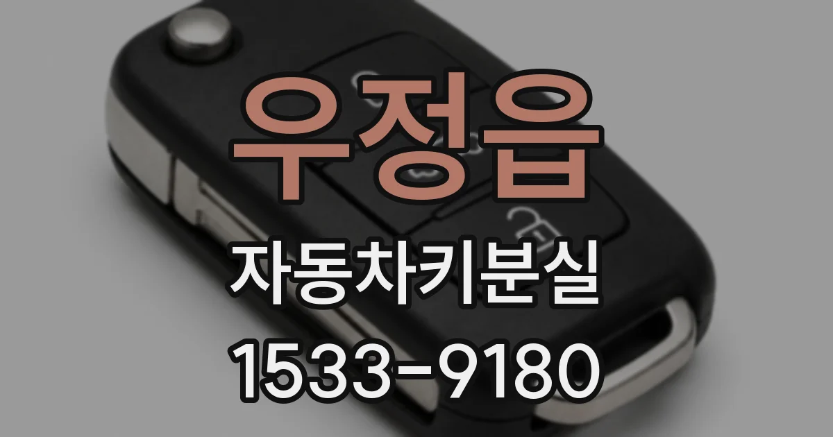 우정읍 자동차키분실