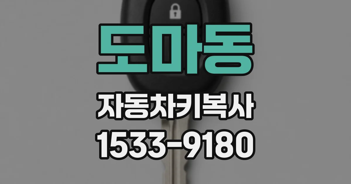 도마동 자동차키복사