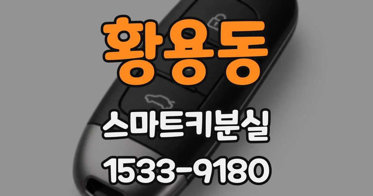 황용동 스마트키분실