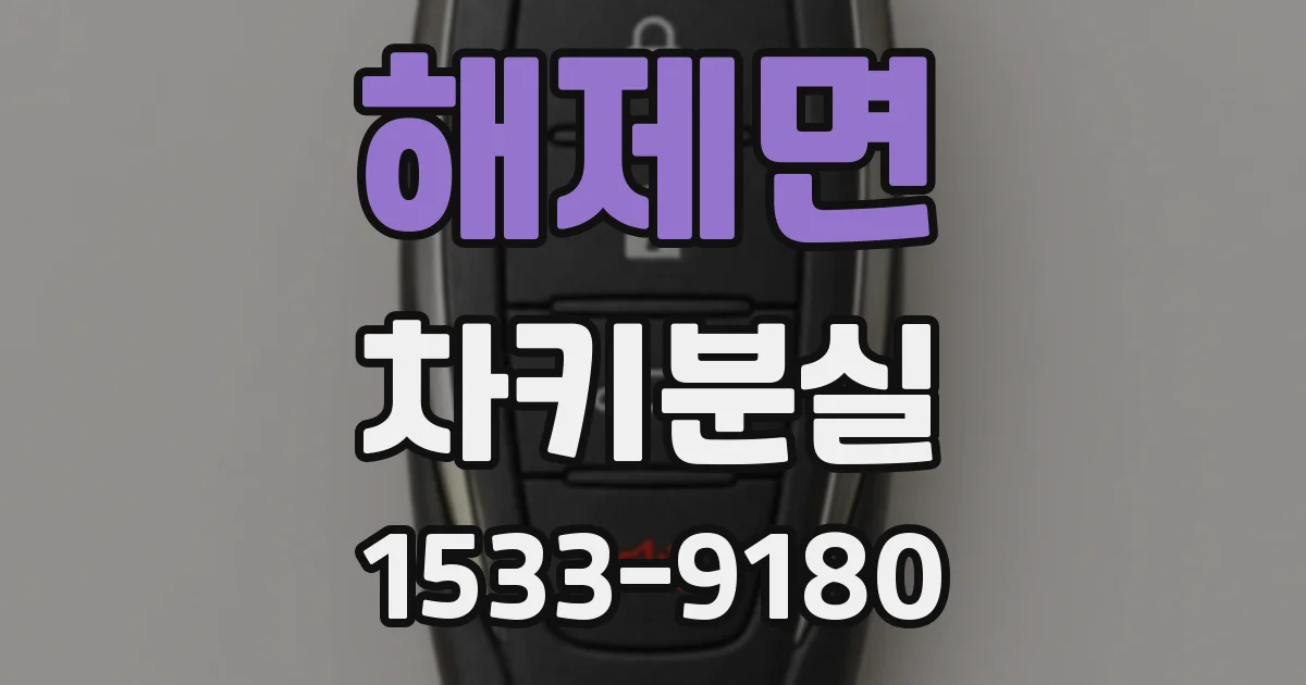 해제면 차키분실
