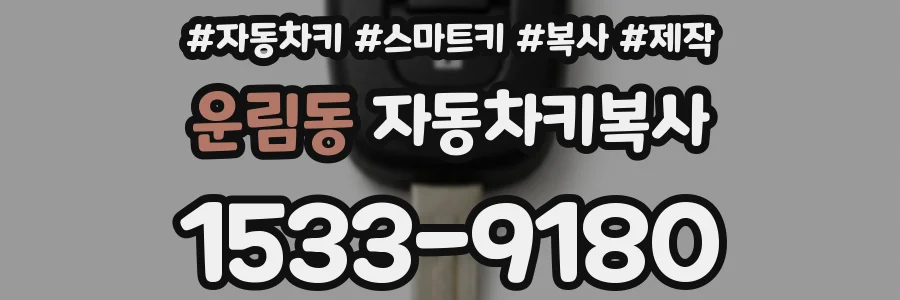 운림동 자동차키복사