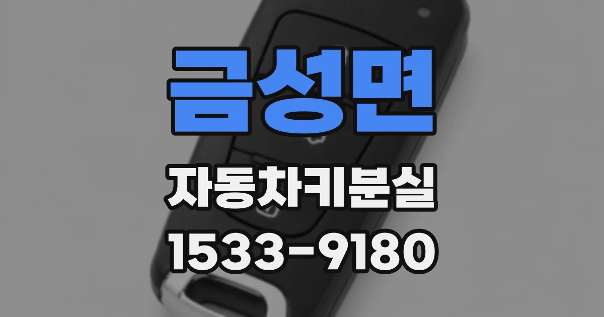 금성면 자동차키분실