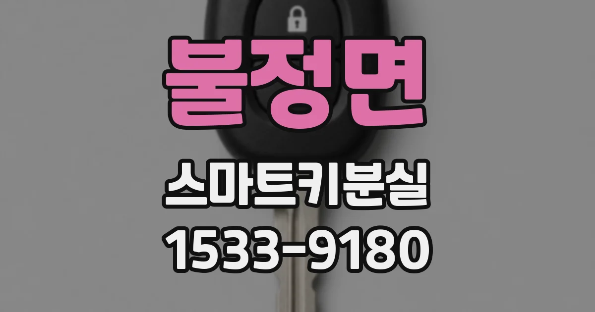 불정면 스마트키분실