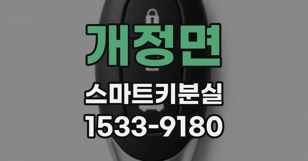 개정면 스마트키분실