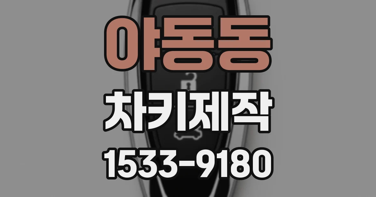 야동동 차키제작