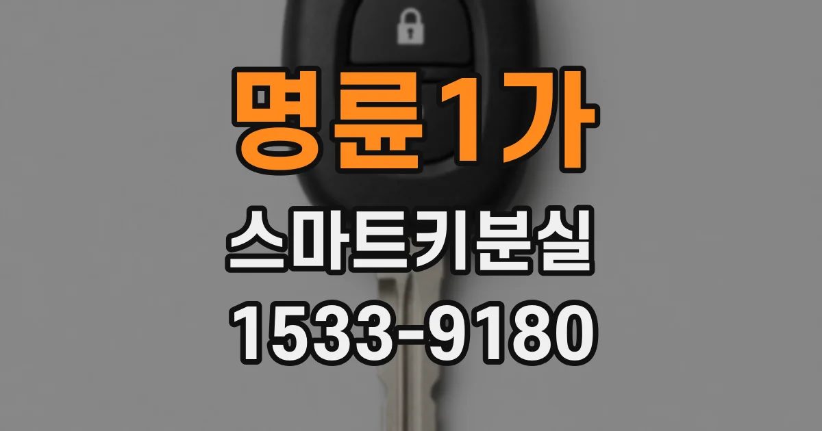 명륜1가 스마트키분실