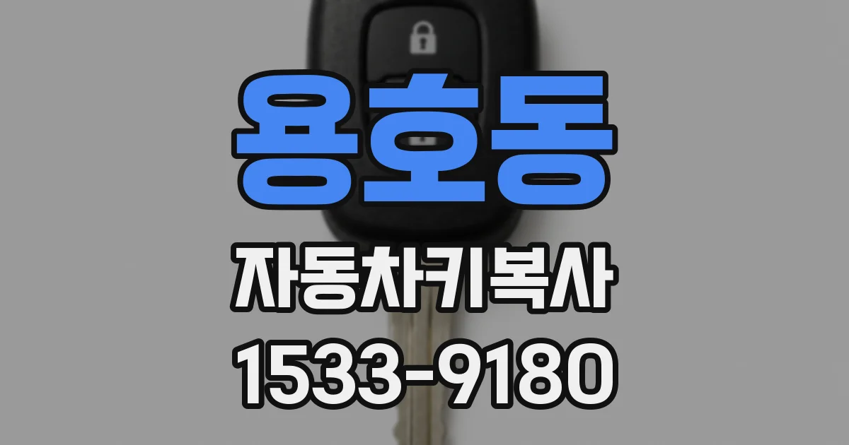 용호동 자동차키복사