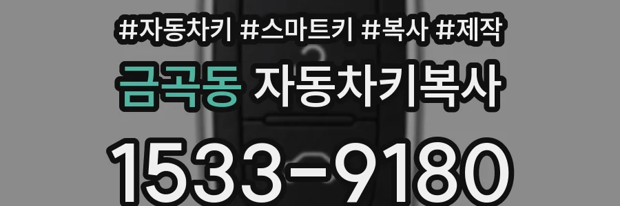 금곡동 자동차키복사