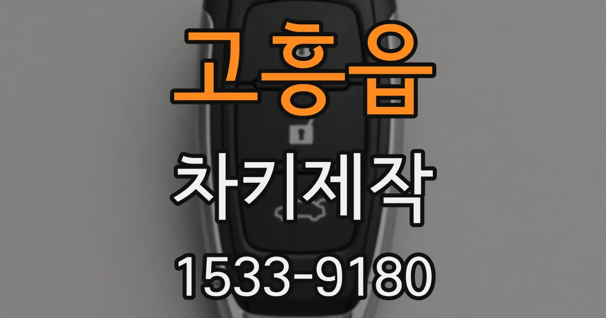 고흥읍 차키제작