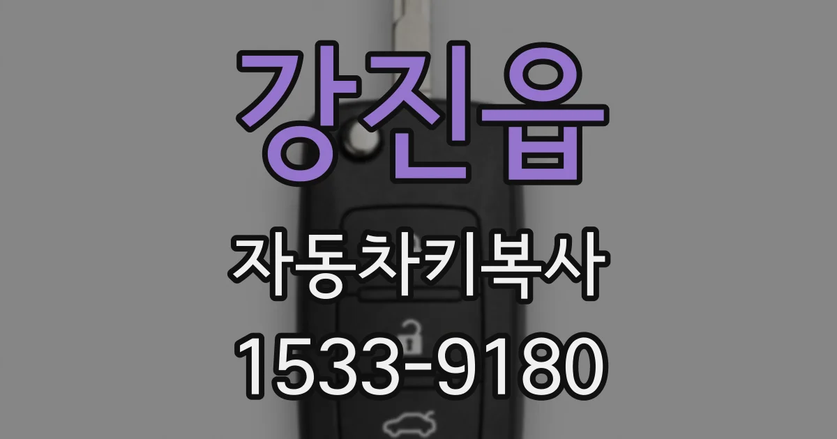 강진읍 자동차키복사