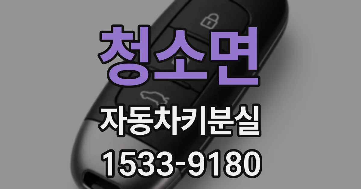 청소면 자동차키분실
