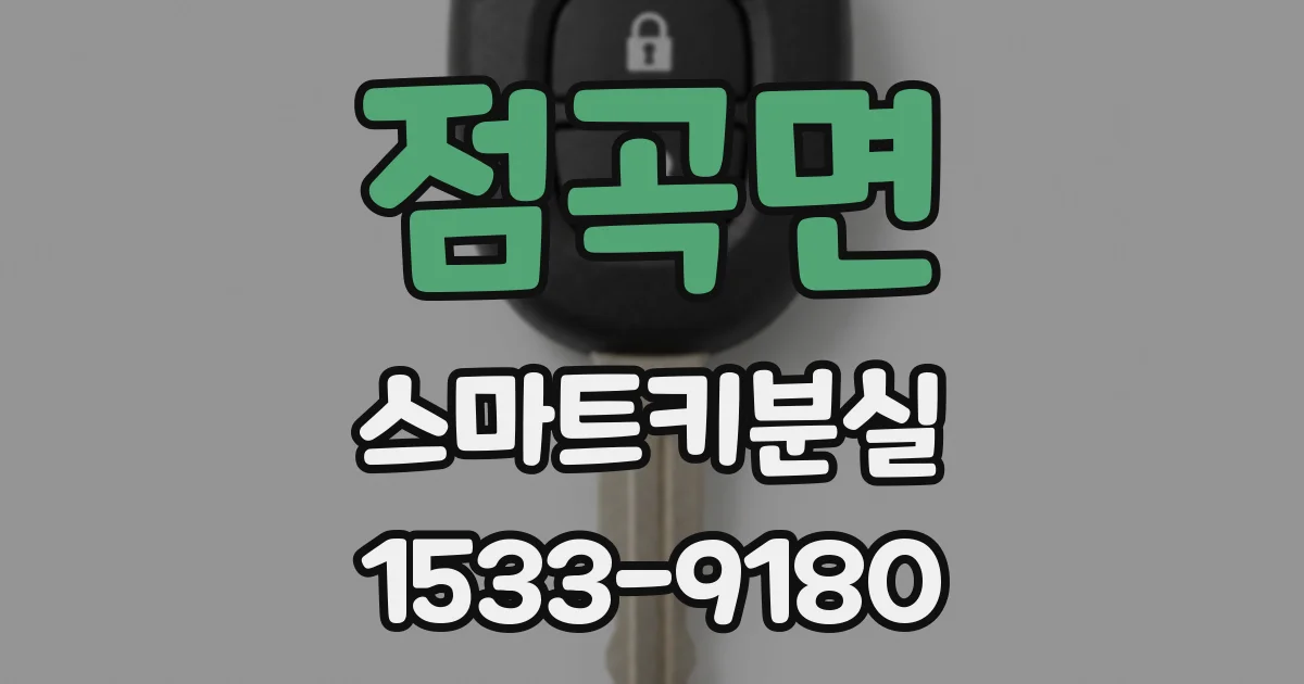 점곡면 스마트키분실