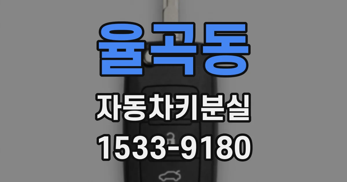 율곡동 자동차키분실