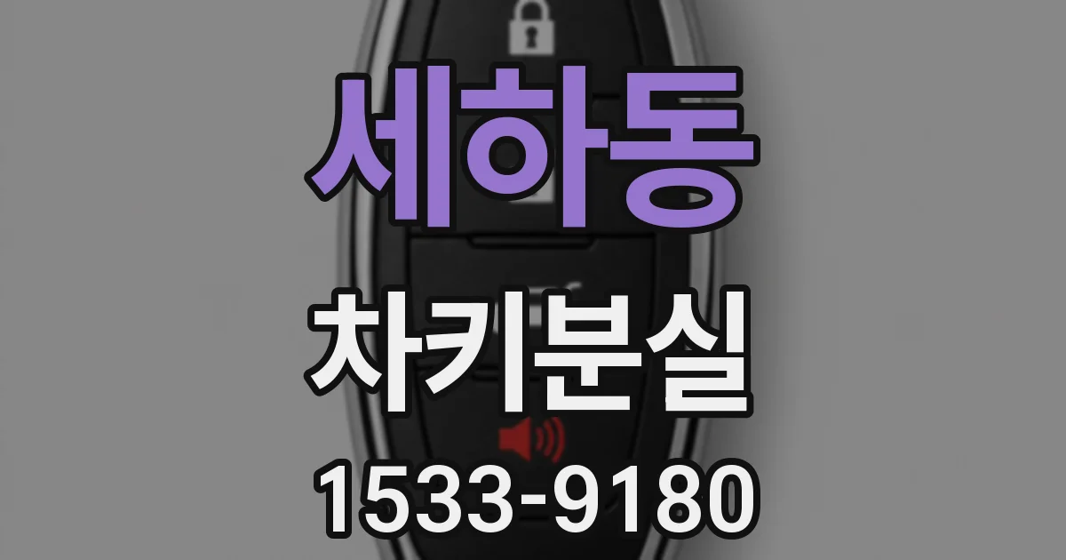 세하동 차키분실