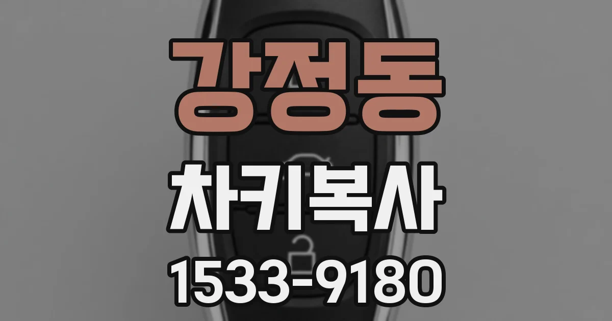 강정동 차키복사