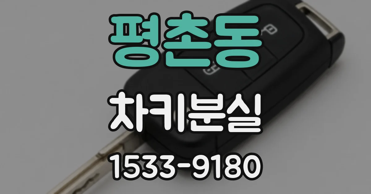 평촌동 차키분실