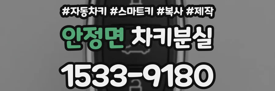 안정면 차키분실