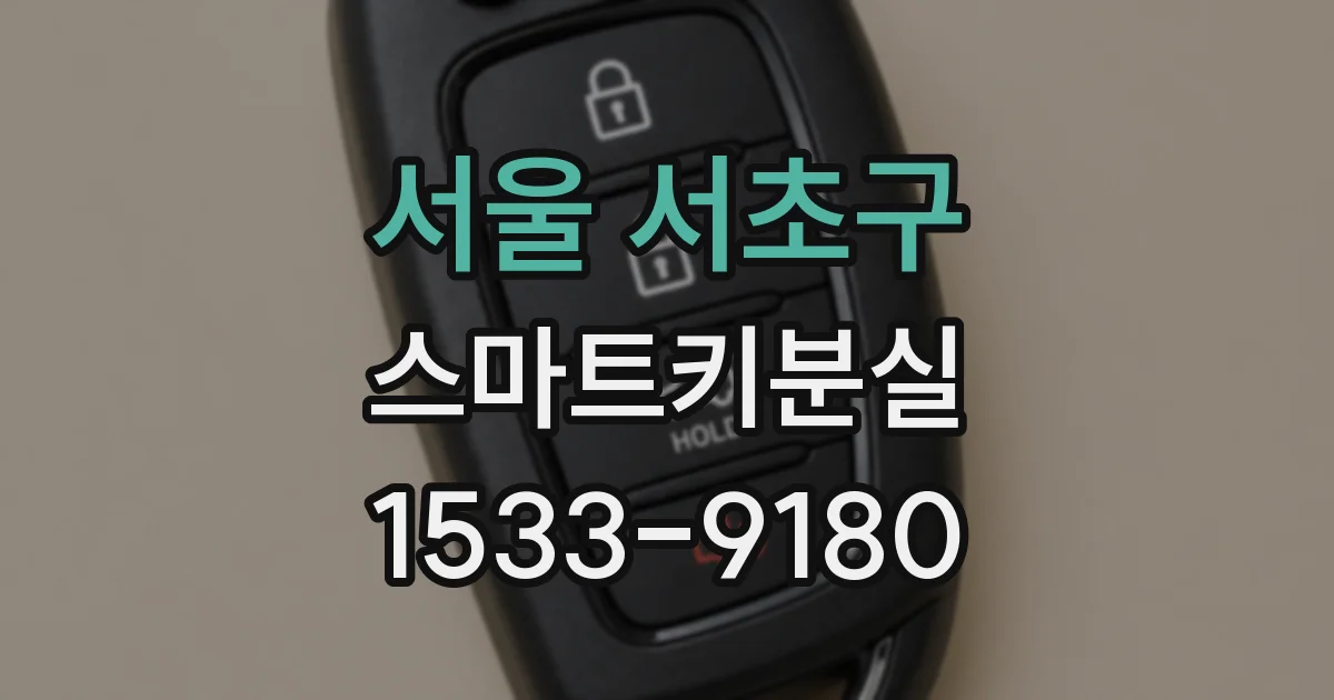 서울 서초구 스마트키분실