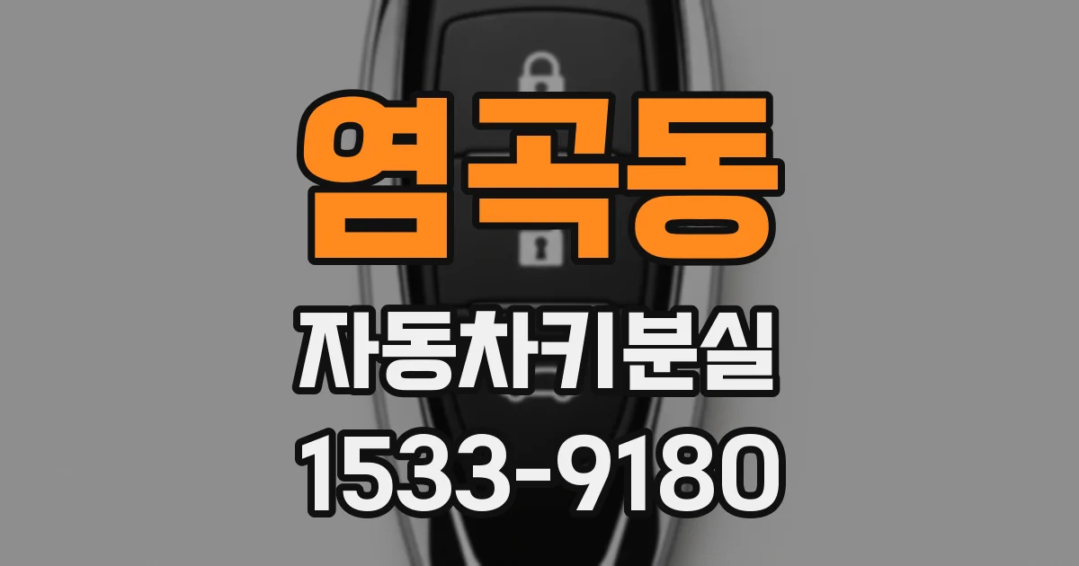 염곡동 자동차키분실