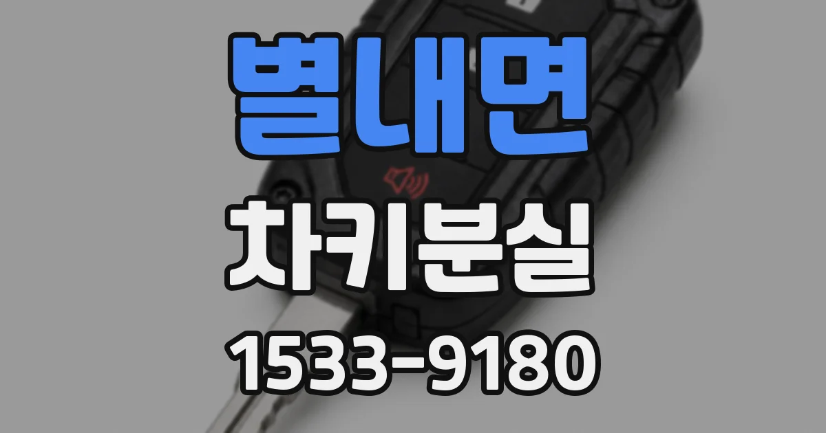 별내면 차키분실