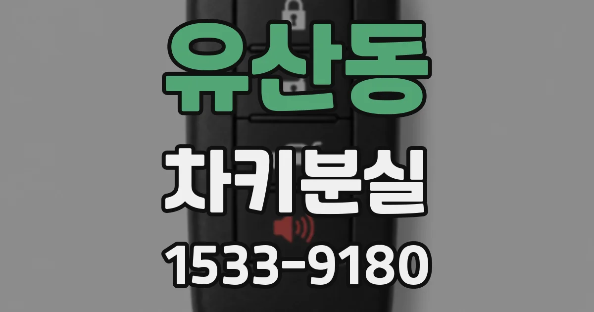 유산동 차키분실