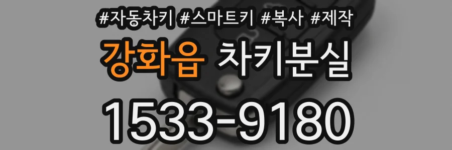 강화읍 차키분실