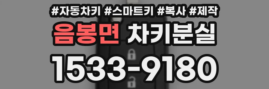 음봉면 차키분실