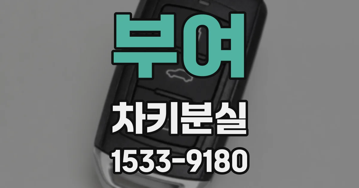 부여 차키분실
