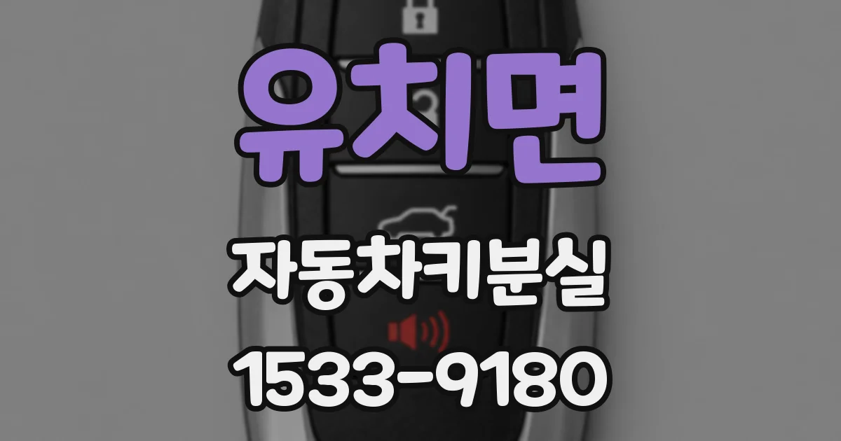유치면 자동차키분실