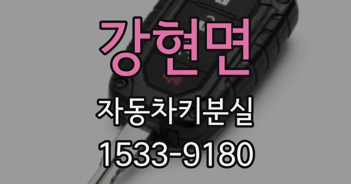 강현면 자동차키분실