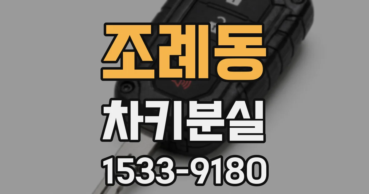 조례동 차키분실