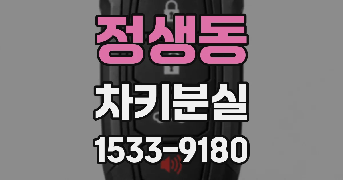 정생동 차키분실