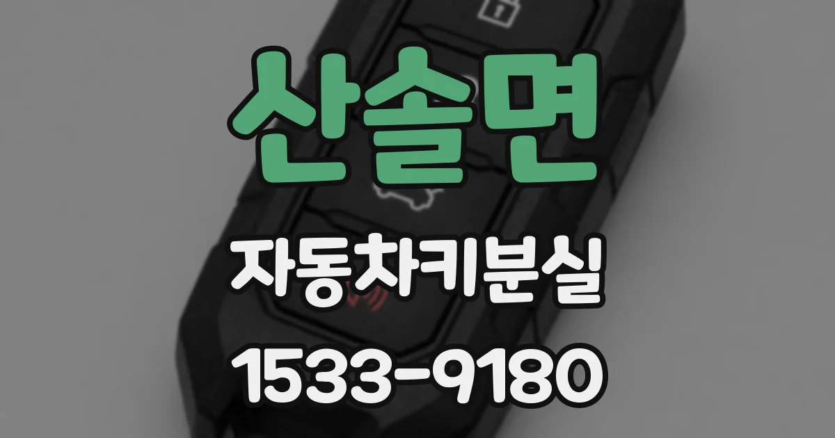 산솔면 자동차키분실