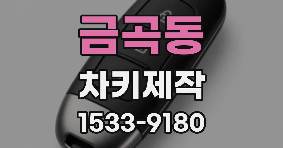 금곡동 차키제작