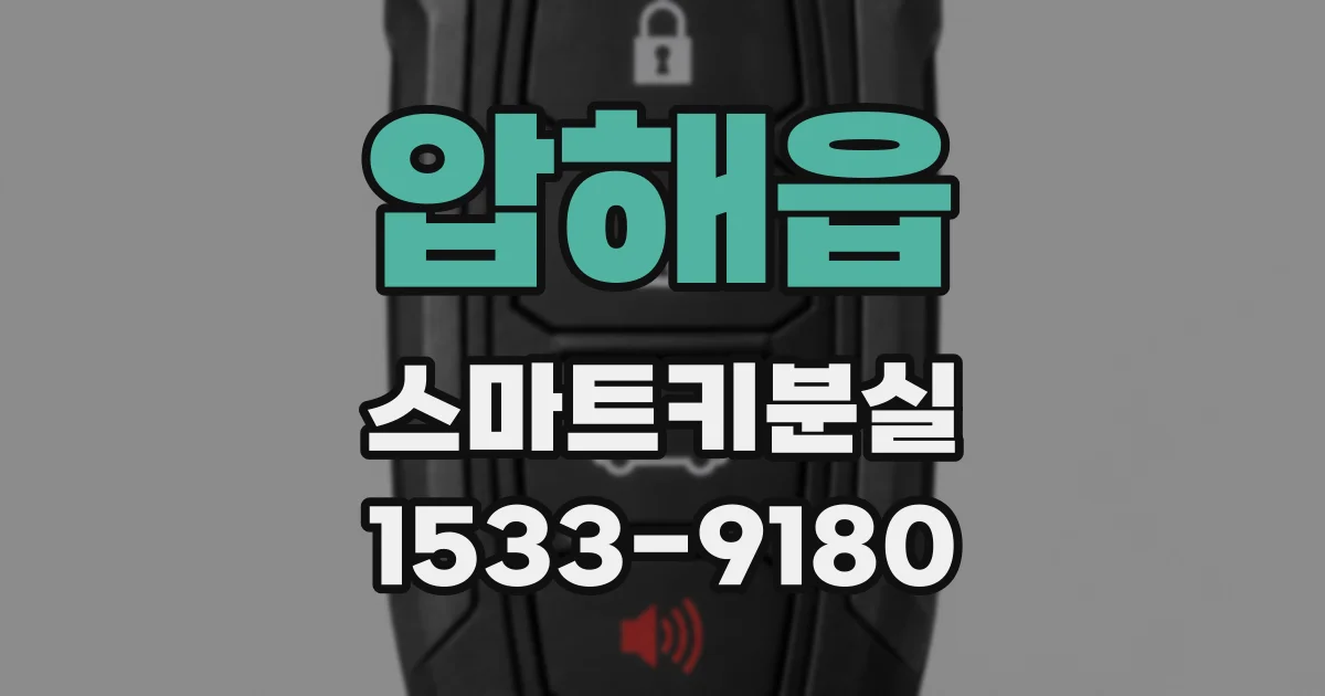 압해읍 스마트키분실