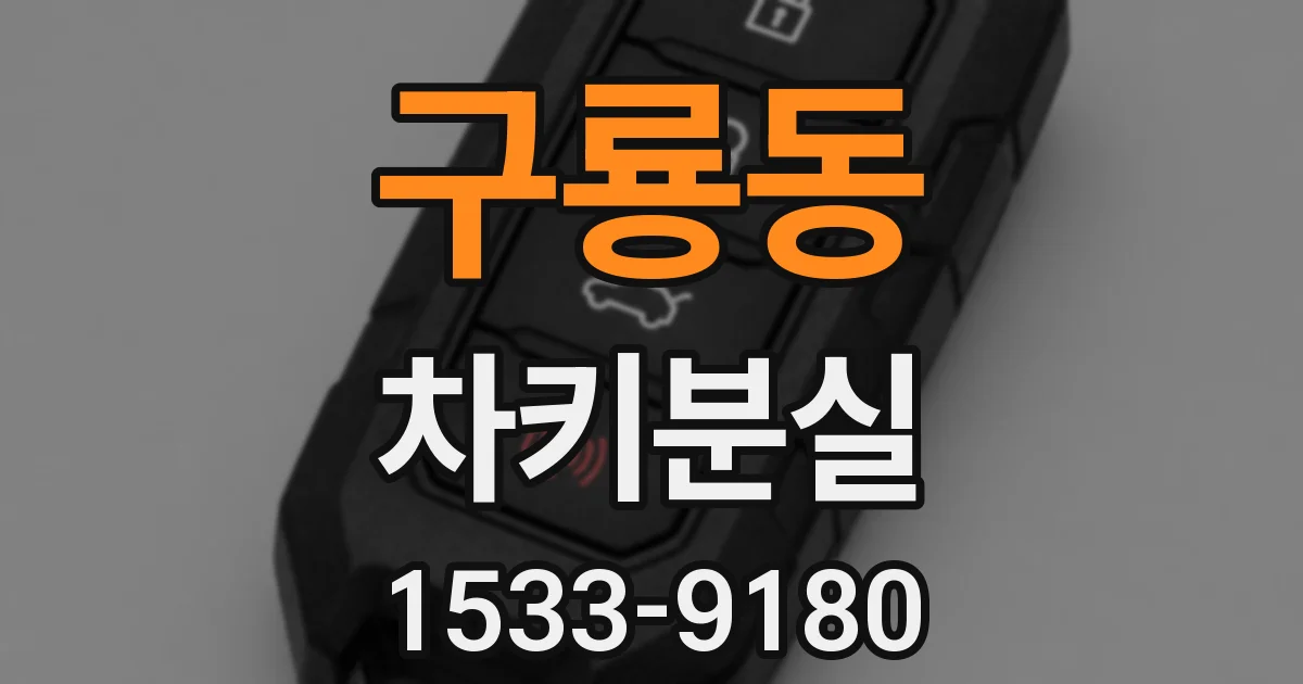 구룡동 차키분실
