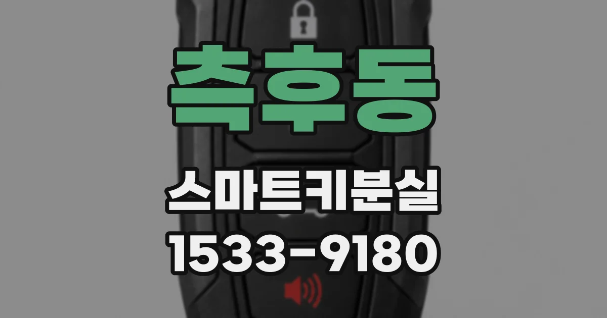 측후동 스마트키분실