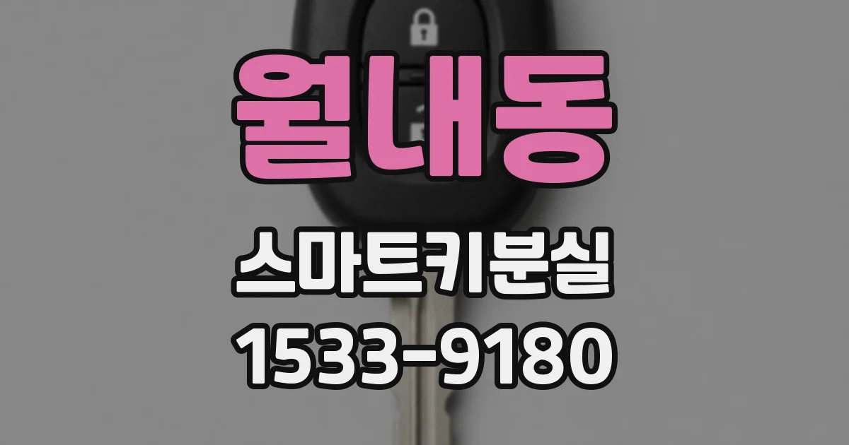 월내동 스마트키분실