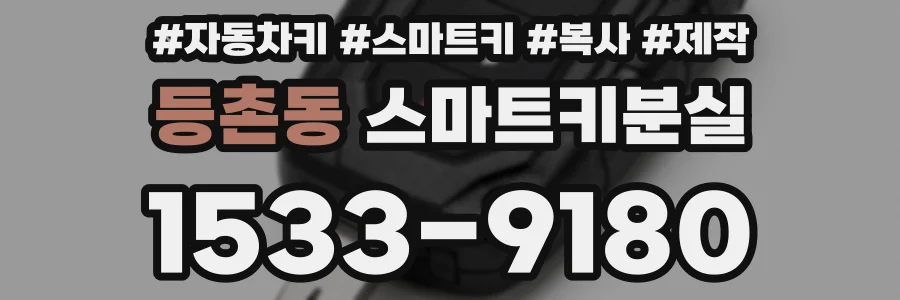 등촌동 스마트키분실
