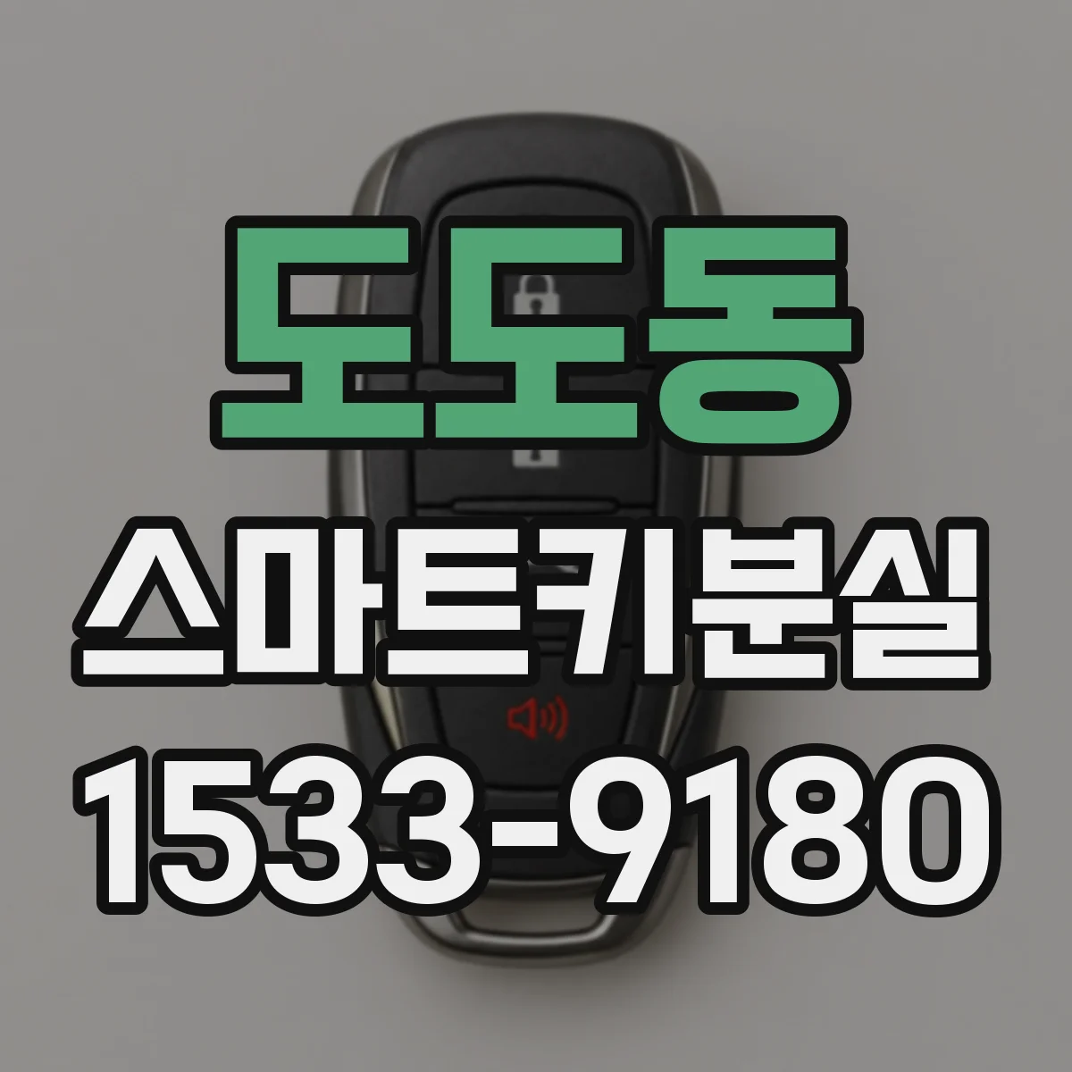 도도동 스마트키분실